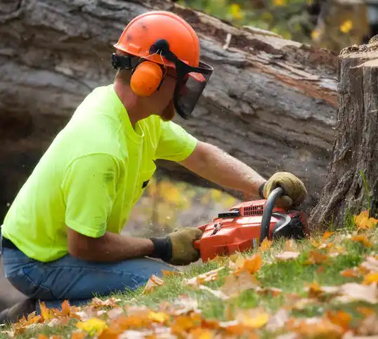 tree services Bellefontaine Neighbors